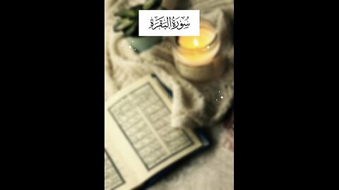 Follow if you love Allah / Surah Al Baqarah Ayat 103 #islam #quran #tafseer #viralvideos