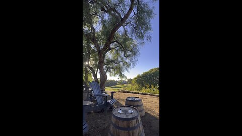 SINCE 1991 BQQM Q30 US PATRIOT Q WWGQWGA