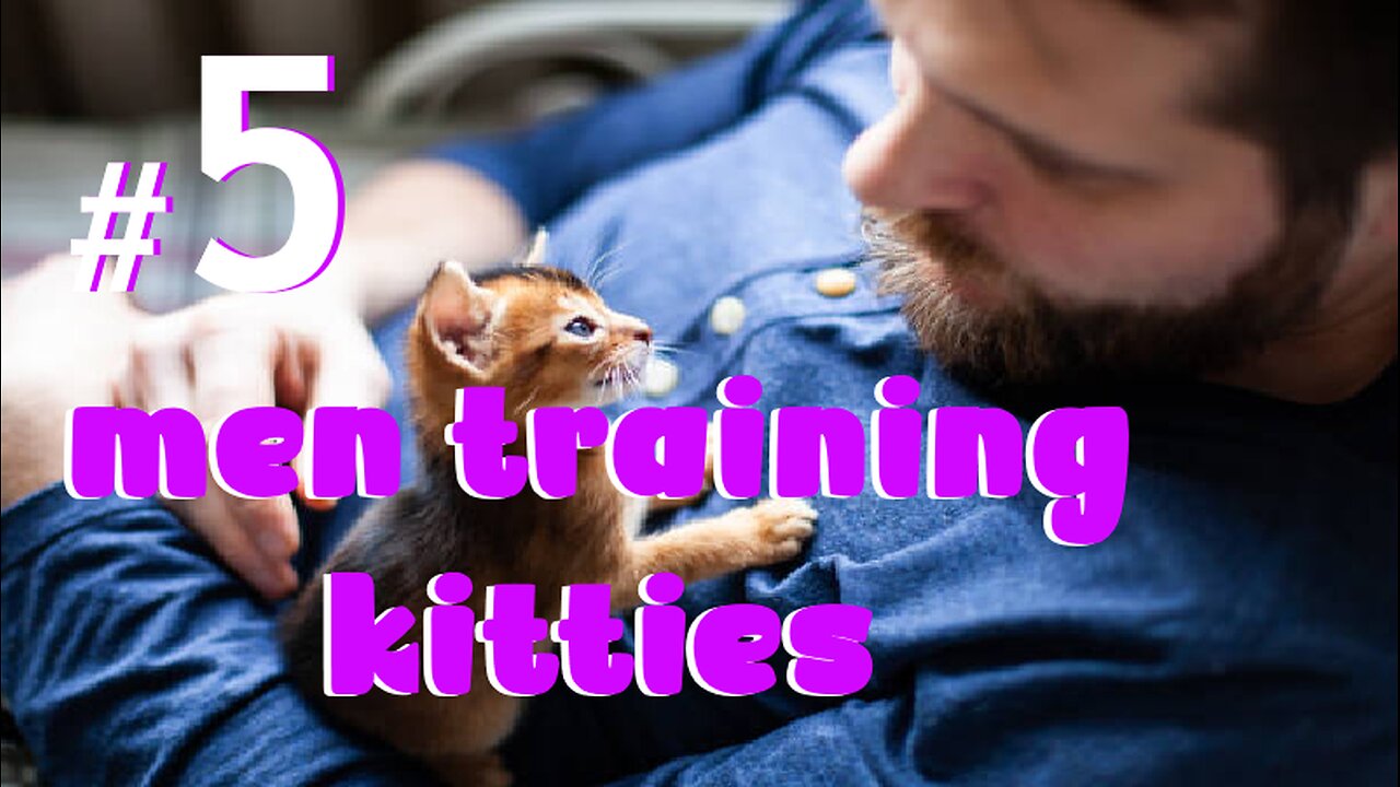 Men Training Kitties #5