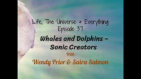 Episode 37 - Whales & Dolphins - Sonic Creators