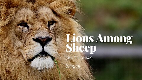 Lions Among Sheep - Jim Thomas - 2/23/25