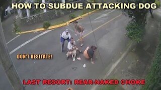 PSA: How To Subdue Attacking Dog Without Weapon