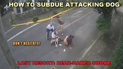 PSA: How To Subdue Attacking Dog Without Weapon