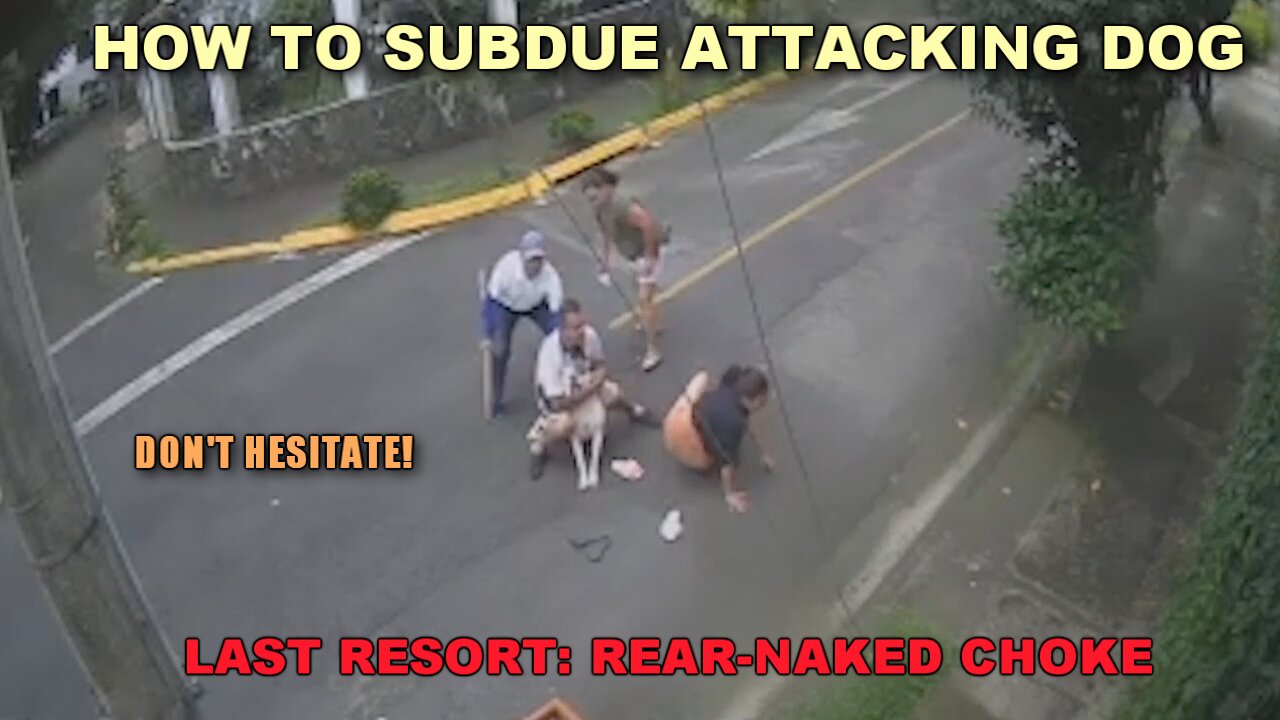 PSA: How To Subdue Attacking Dog Without Weapon