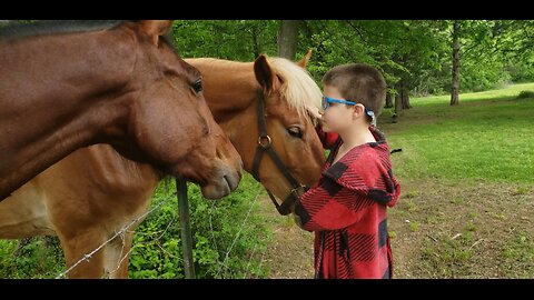 AN APPLE A DAY (and many times more) for a HORSE on a SNOWY DAY