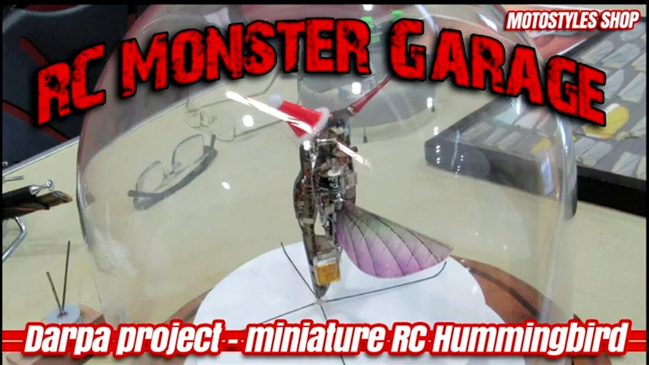 MINI RC HUMMINGBIRD - A DARPA PROJECT COME TO LIFE 🐦