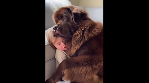 Beautiful Love & Concern a Baby & Doggie have for one another