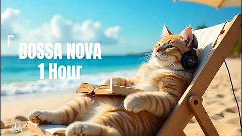 Bossa Nova Beach Vibes: 1 Hour of Relaxing Music for a Sunny Day