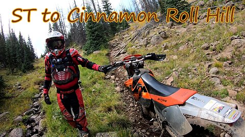 Singletrack (to Cinnamon Roll Hill)