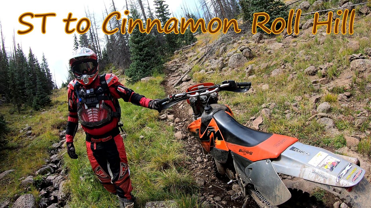 Singletrack (to Cinnamon Roll Hill)