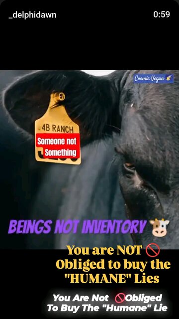 Nuh - I'm Not Doing THAT Anymore 🖕🐮❤️‍🩹