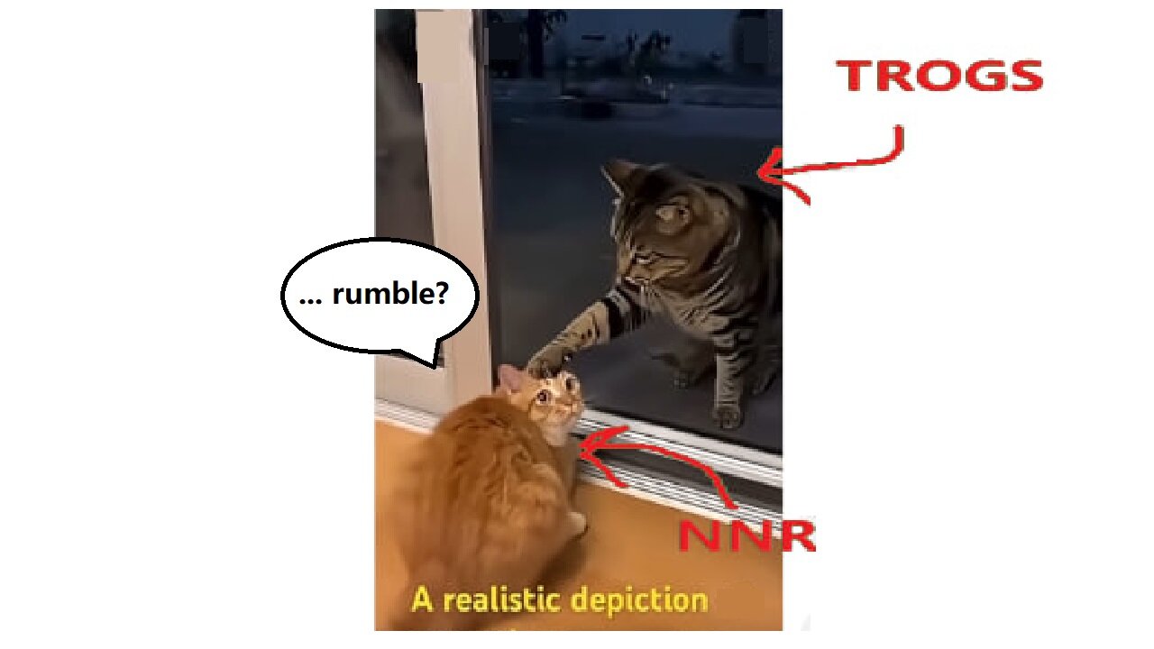 Weekday Live Variety Show