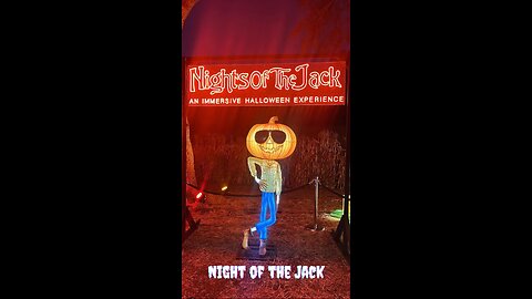 Night of the Jack: Epic Pumpkin Light Trail in LA