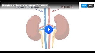 How You Can Protect Your Kidneys | Duke Health