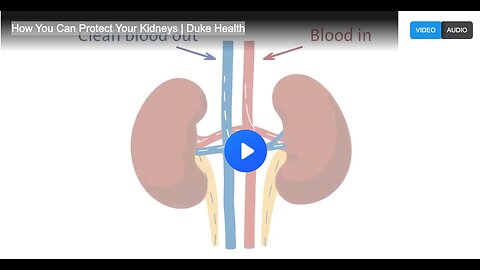 How You Can Protect Your Kidneys | Duke Health