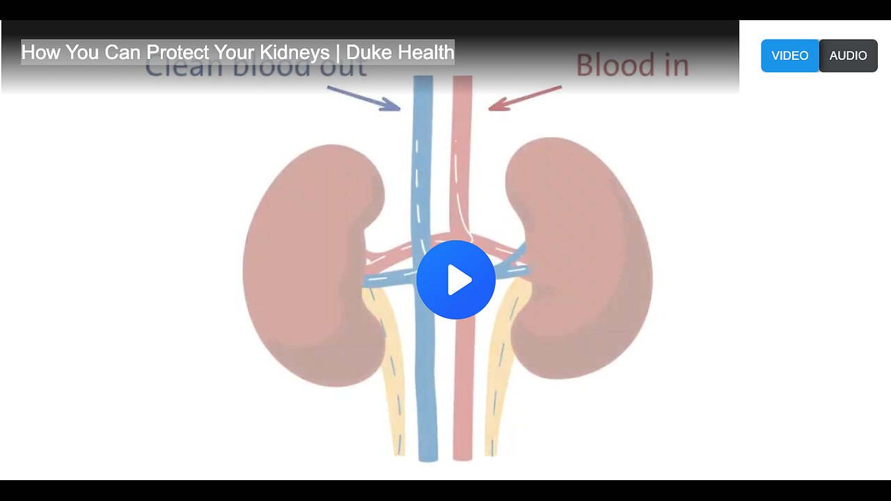 How You Can Protect Your Kidneys | Duke Health