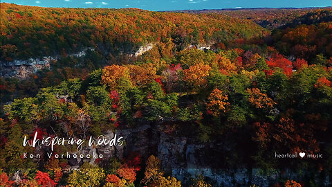 Relaxing Guitar | Whispering Woods | Ken Verheecke