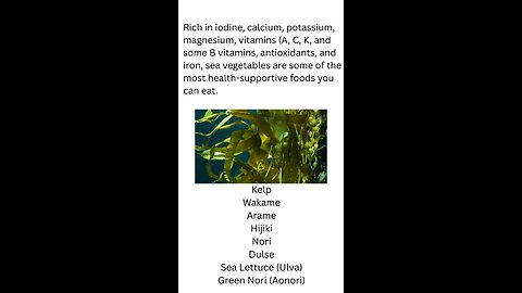 What are Sea Vegetables?