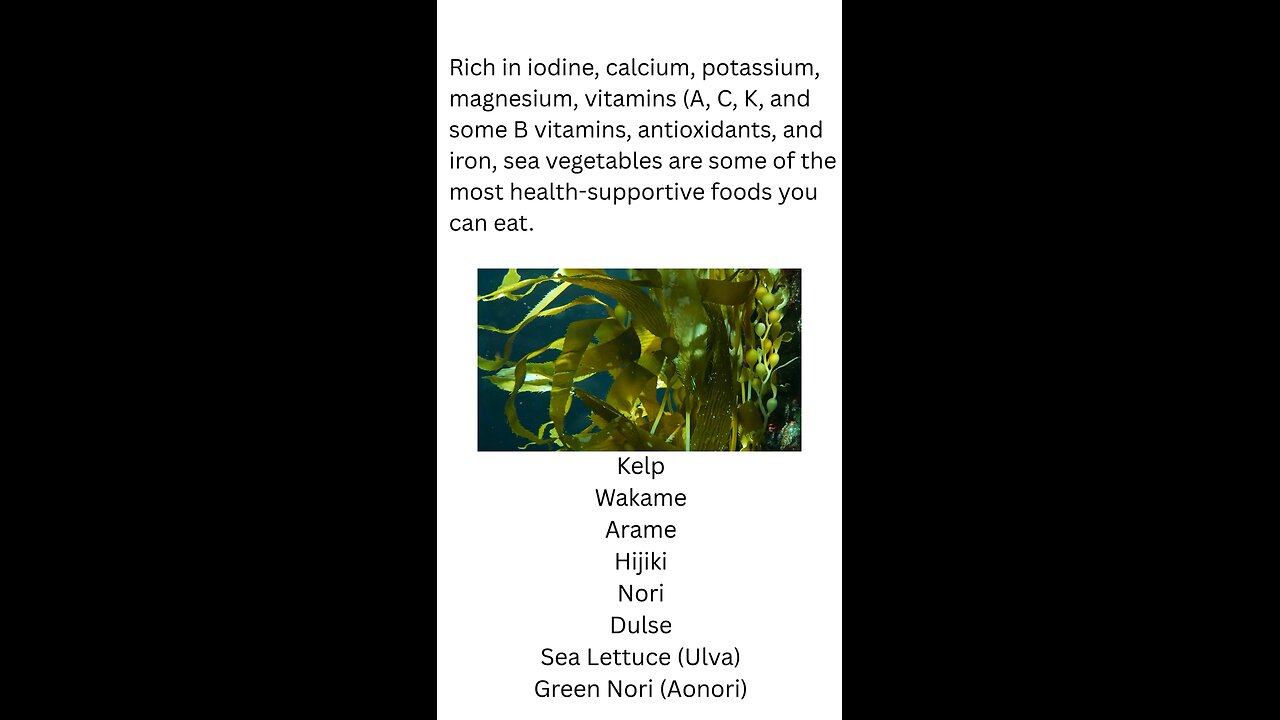 What are Sea Vegetables?