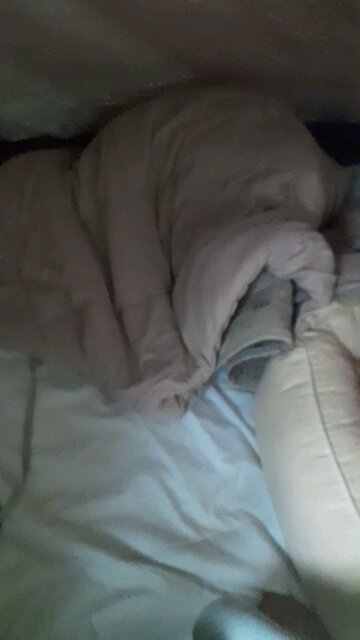 20260204. Remember God.