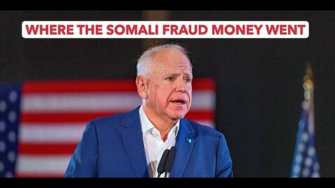 Where the Minnesota Somali Fraud Money Went