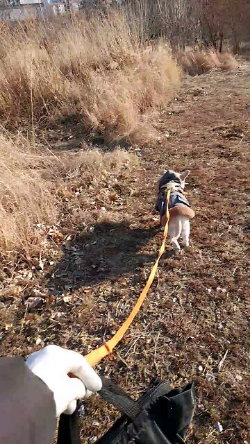 20260209. God made the world.