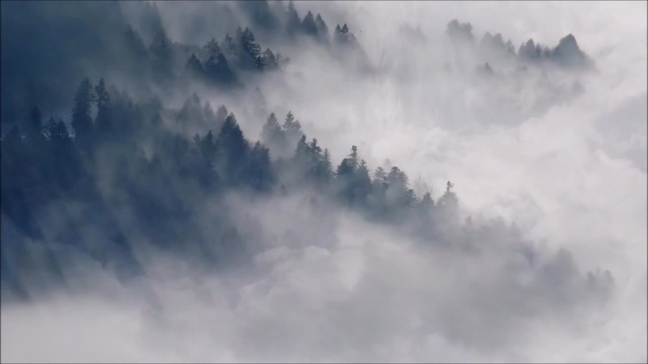 "Dreams of Mist" - progressive rock