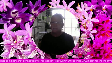 Monthly Q&A September '25 Comments Review Orchid Diverse Topics #ninjaorchids Hang Out #ninjaorchids