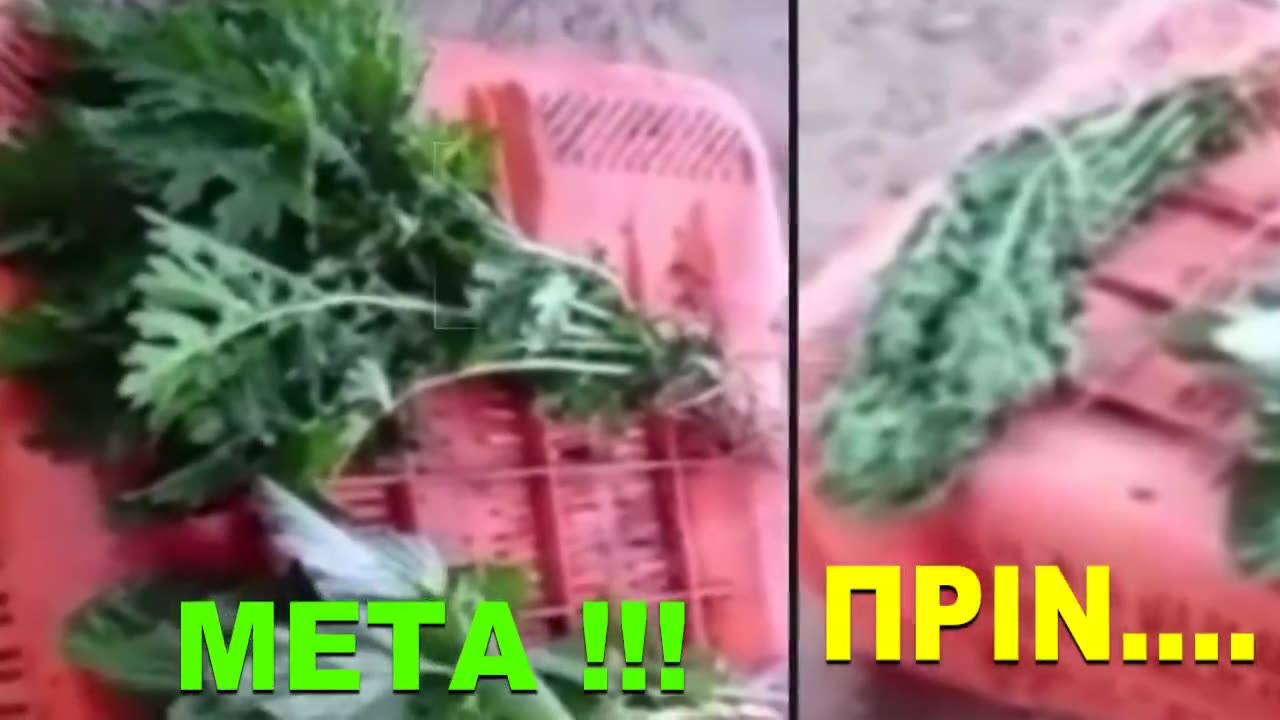 #ΕΛΙΞΗΡΙΑ_ΝΕΟΤΗΤΑΣ !!😎Γινεται στα Φυτα🌿!!😉, Στον Ανθρωπο🙎‍♂️???😉