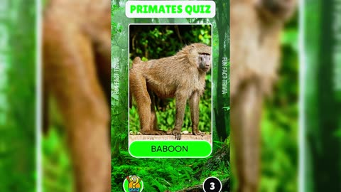 Monkeys and Apes? 🐒 Can You Name The Species?