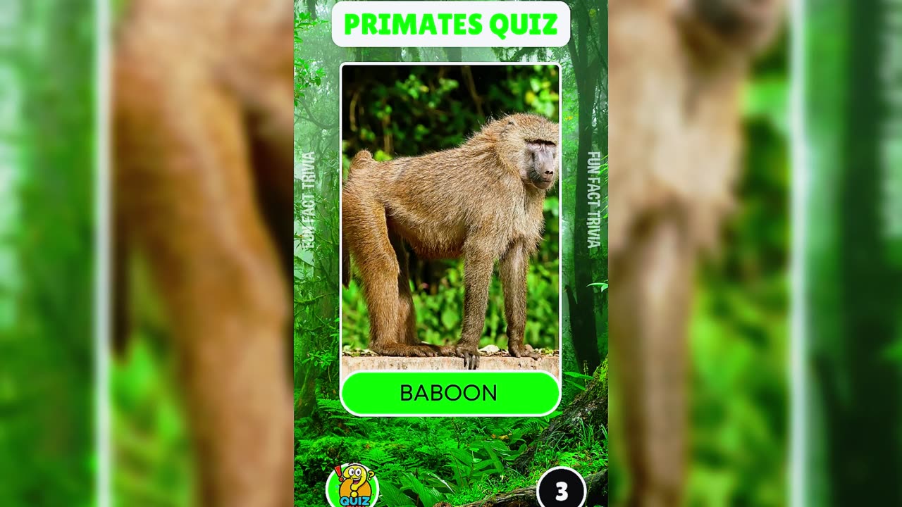 Monkeys and Apes? 🐒 Can You Name The Species?