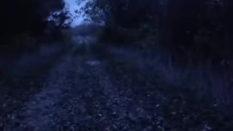 😨👻 The Most Haunting Paranormal Videos! Part 58 | TheHauntingHour