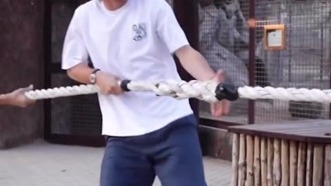 Not every day you see Luka Modrić taking on a tiger 💪😂