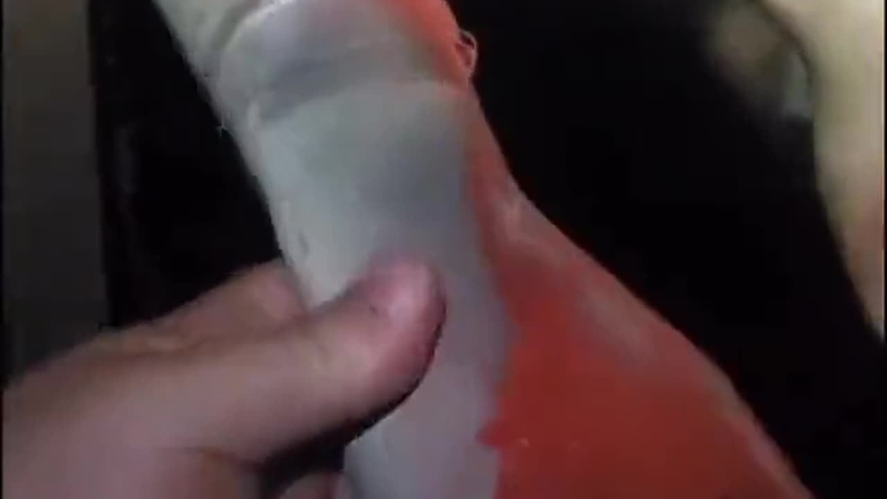 😱🧿 Entity Caught on Camera—You Won't Believe This! | TheHauntingHour