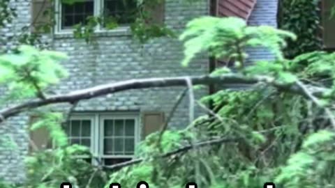 Home Inspections Unveiling the Unseen