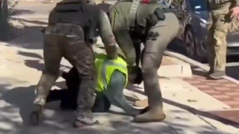 DHS agents had to forcibly detain an illegal alien in the suburbs of Chicago.