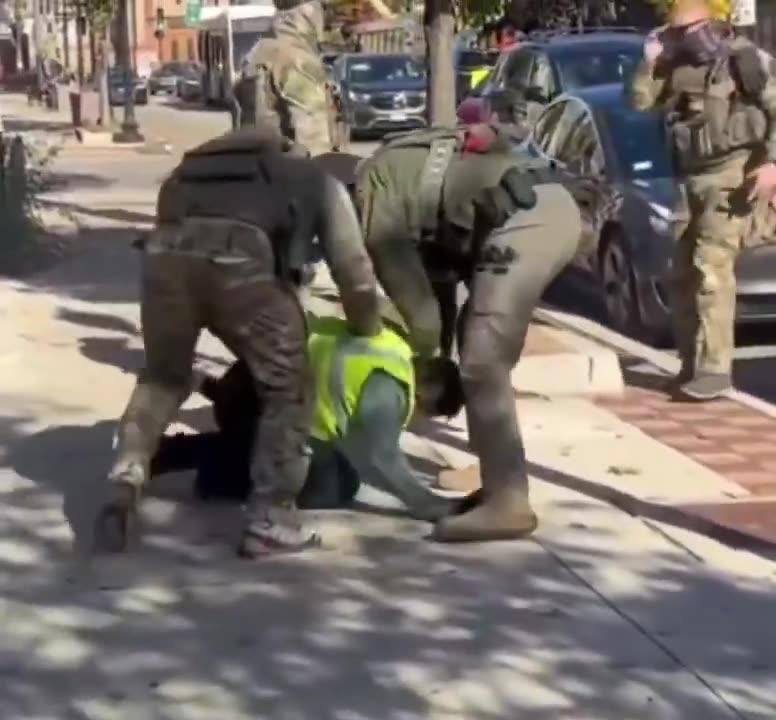 DHS agents had to forcibly detain an illegal alien in the suburbs of Chicago.