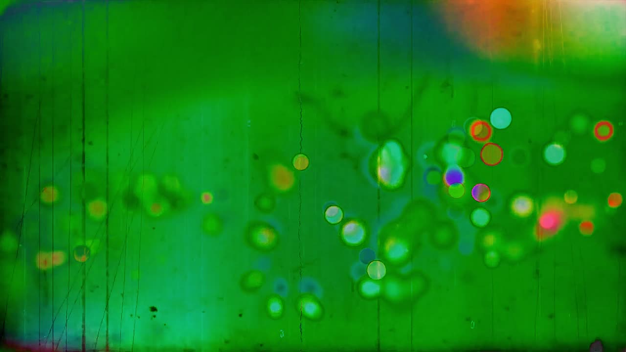 The Kitten and Falling Leaves (poem)