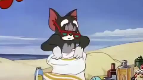 "Non-Stop Action: Tom & Jerry's Funniest Chase Ever!"