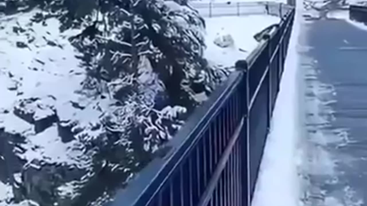 🤯😮 Too Much Ice Is Too Much! | FeedMyCuriosity