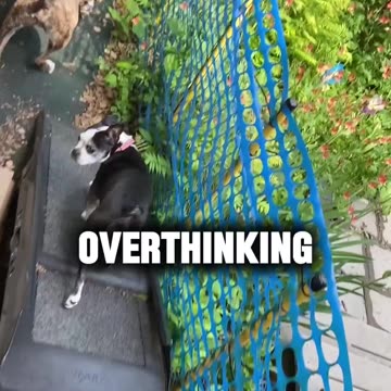 Overthinking
