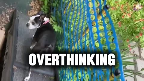 Overthinking