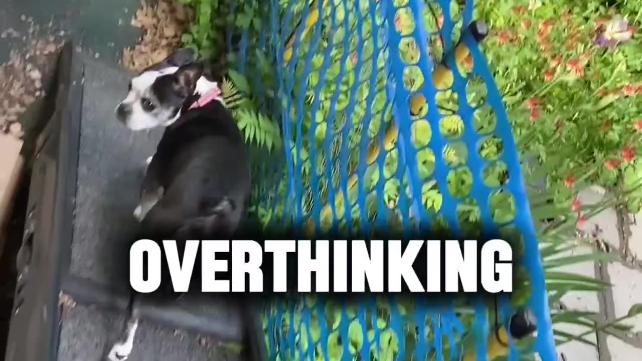 Overthinking