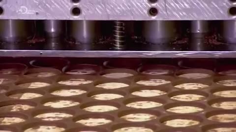 "Unwrap the Secrets: How Chocolate Coins Are Made | Behind the Scenes of Your Favorite Treat!"