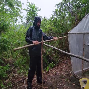 construction in the forest