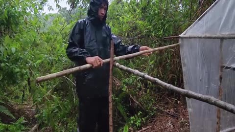 construction in the forest