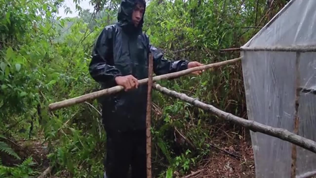 construction in the forest