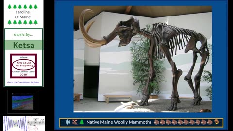 Music, Mammoths and Gaming