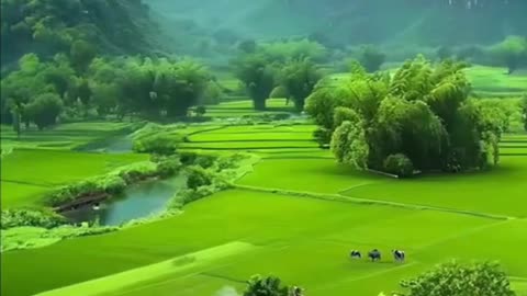 Incredibly beautiful nature.