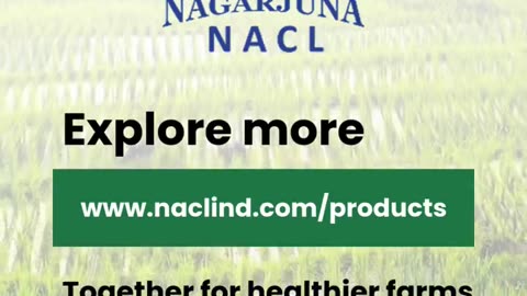 NACL Industries – Trusted Insecticide Manufacturer in India